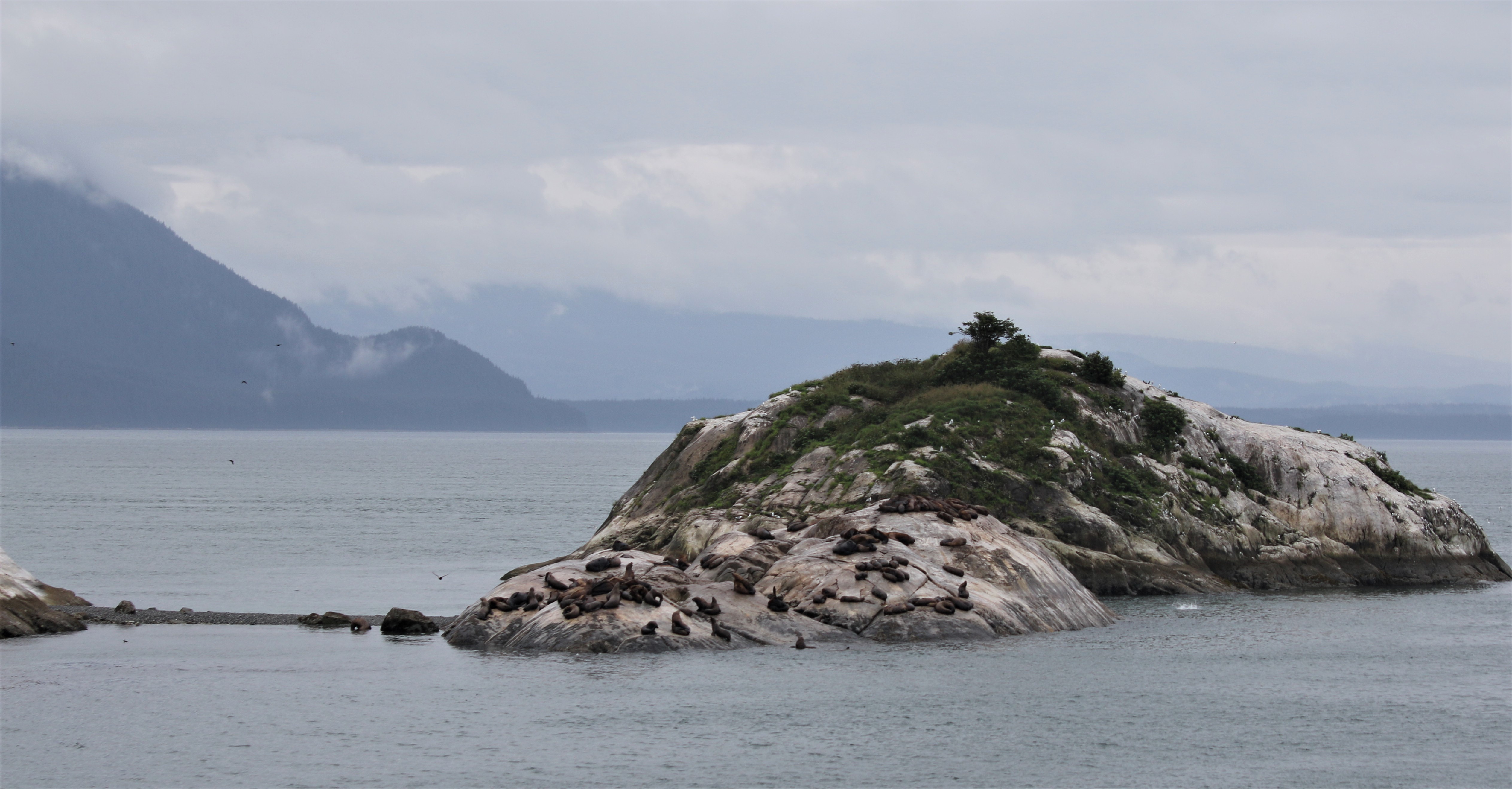 Alaska